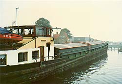 �����D��