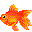 金魚（赤出目金）