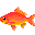 金魚（緋鮒）