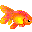 金魚（秋金）