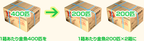 1箱あたり金魚400匹を→1箱あたり金魚200匹×2箱に