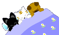 oyasumi3hiki.gif