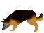 image2694.gif