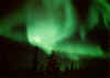 aurora2005.JPG (67207 oCg)