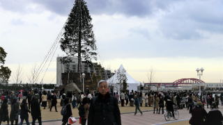 大クリスマスツリー