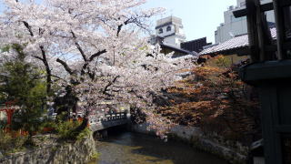 祇園白川