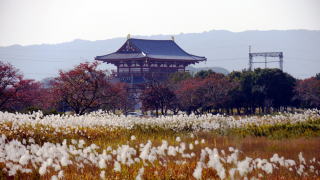 鋞