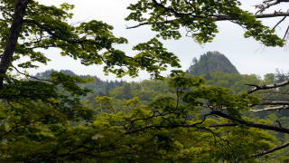稲村ヶ岳と大日山