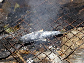 ヤマメの塩焼き
