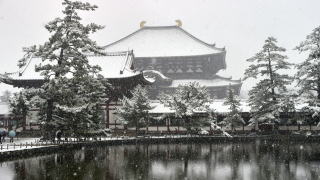 雪の鏡池