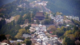 吉野上千本