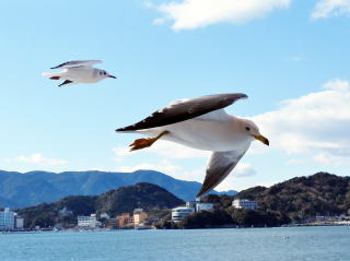 �J����