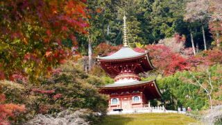 勝尾寺１