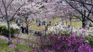 けいはんな公園