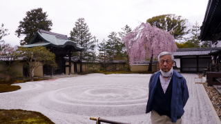 高台寺で花見