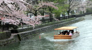 京都の疎水
