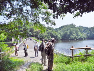 室池
