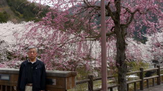 七谷川緑地