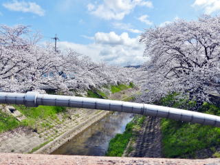 大宮橋