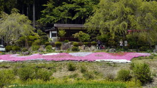 芝桜園