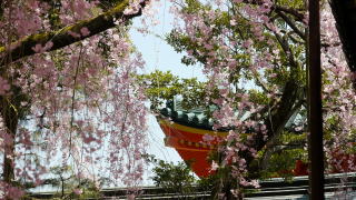平安神宮神苑