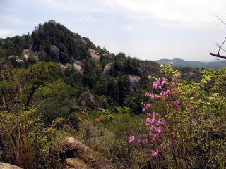 Vt