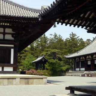 唐招提寺