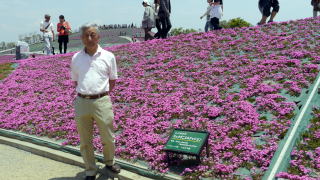 茶臼山高原芝桜の丘