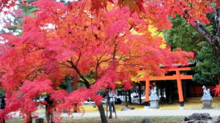 浮雲公園
