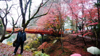 養父神社