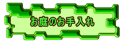 お庭のお手入れ 