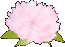 ���������@����E�ޗǁE���E���s�@����R