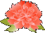 ��⣁E���؉��̏��i�̌�ē��@���R���